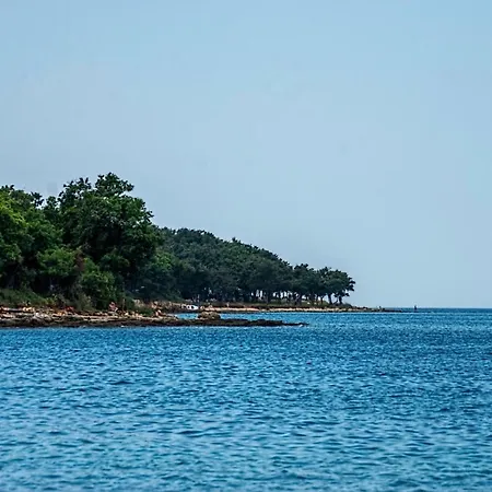 Apartment Oleander Porec